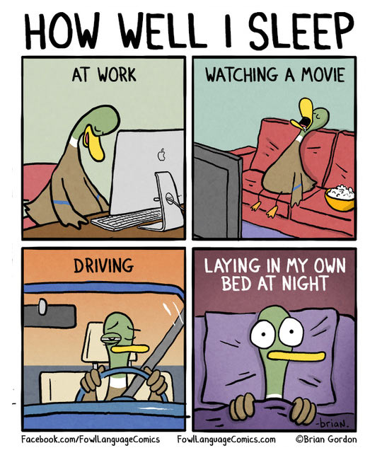 funny-duck-bed-sleeping-comic