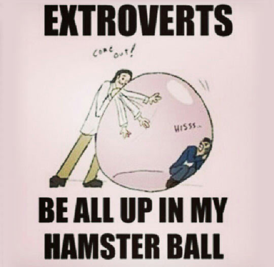 Extroverts Are The Most Annoying Kind Of People