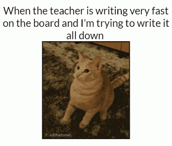 funny-gif-cat-shaking-paw-crazy