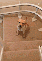 Going Down The Stairs With Grace