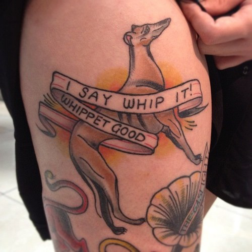 whippet-whip-it