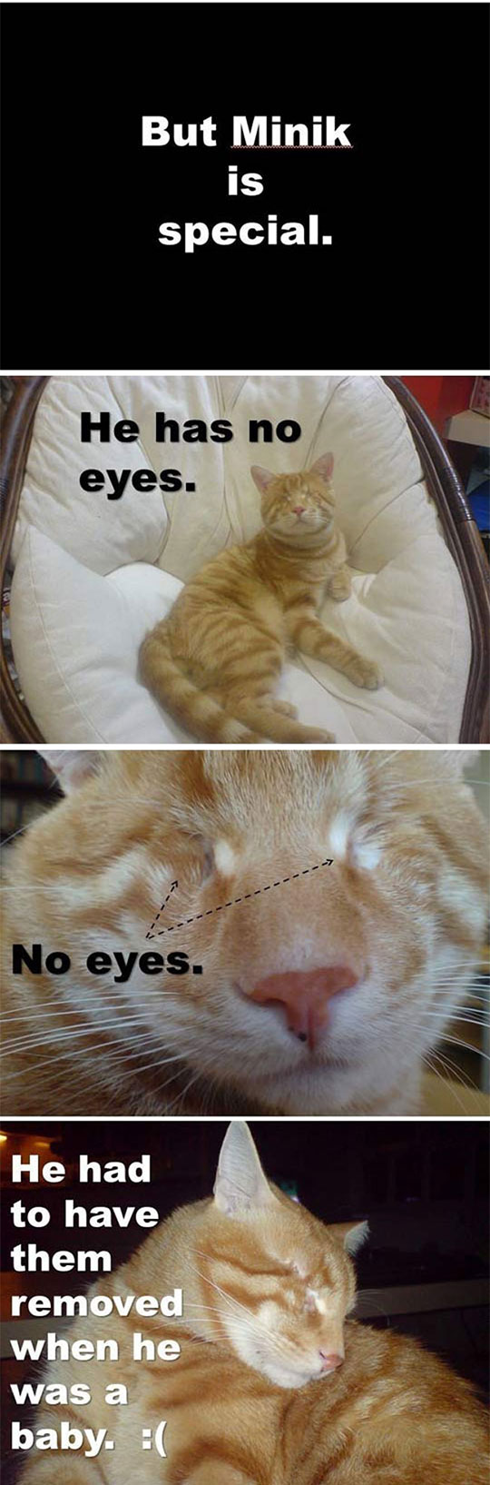 cool-cat-eyes-missing-special-playing