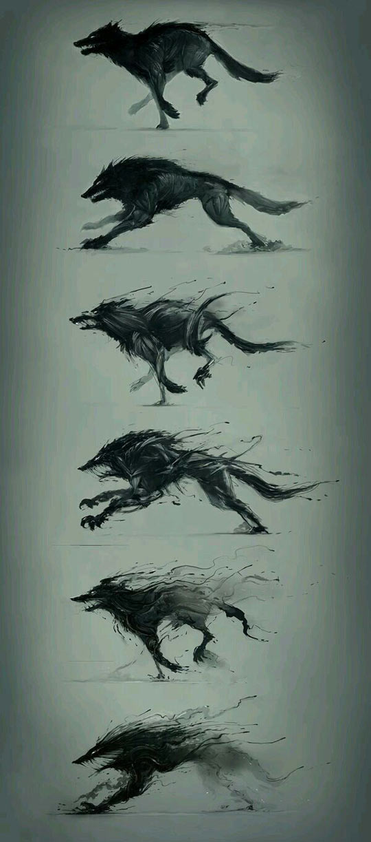 A Wolf Becoming More Sinister