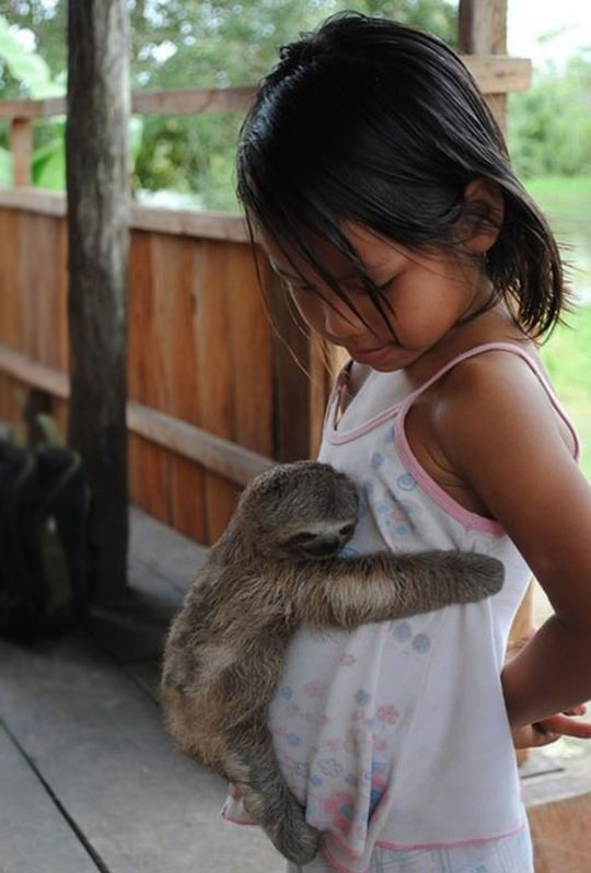 Baby Sloth Hugs Little Girl