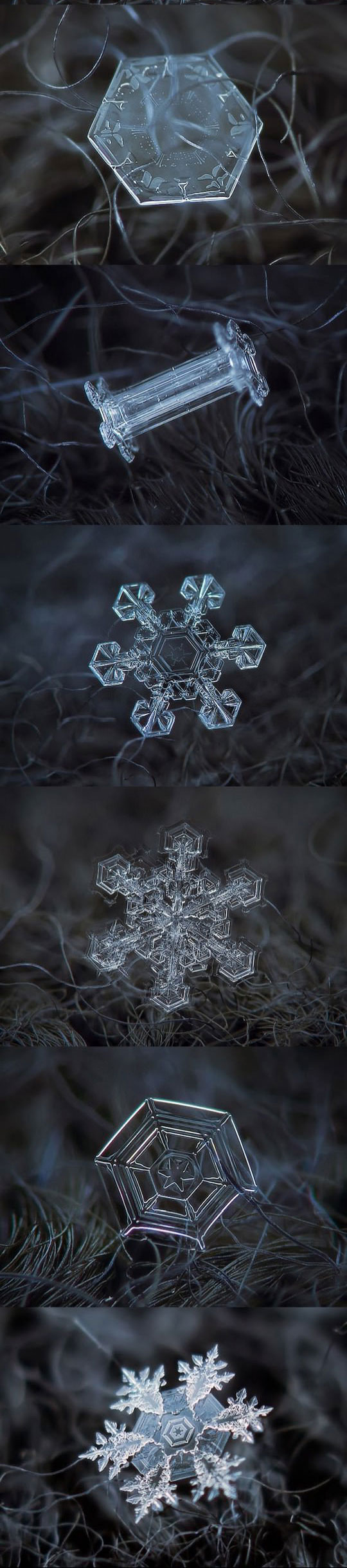 cool-snowflake-micro-photography