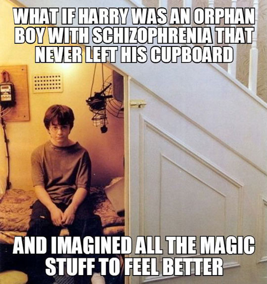 funny-Harry-Potter-schizophrenia-story