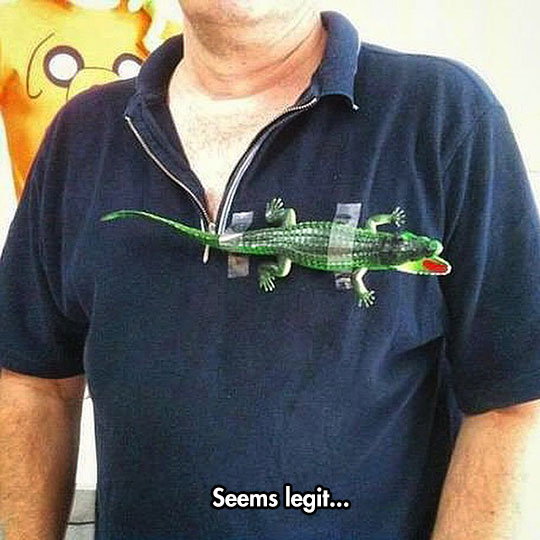funny-alligator-taped-shirt-Lacoste