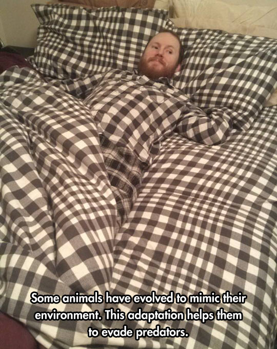 funny-bed-blanket-pajamas-same-pattern