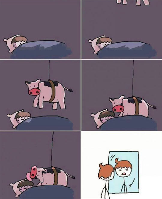 funny-bed-sleeping-cow-mirror-comic