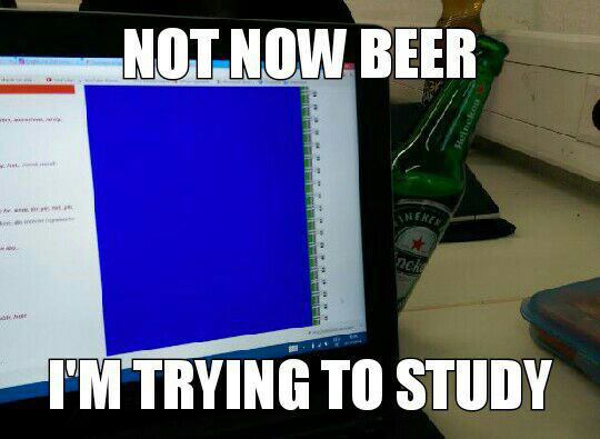 funny-beer-study-computer-determination