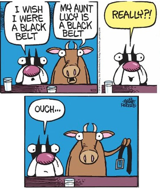 funny-cartoon-cow-bar-dog-belt
