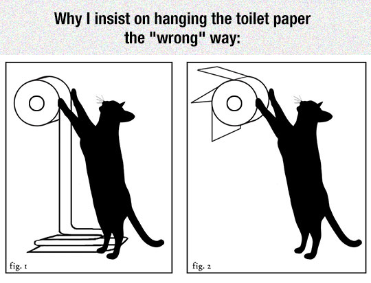 funny-cat-toilet-paper-roll-way