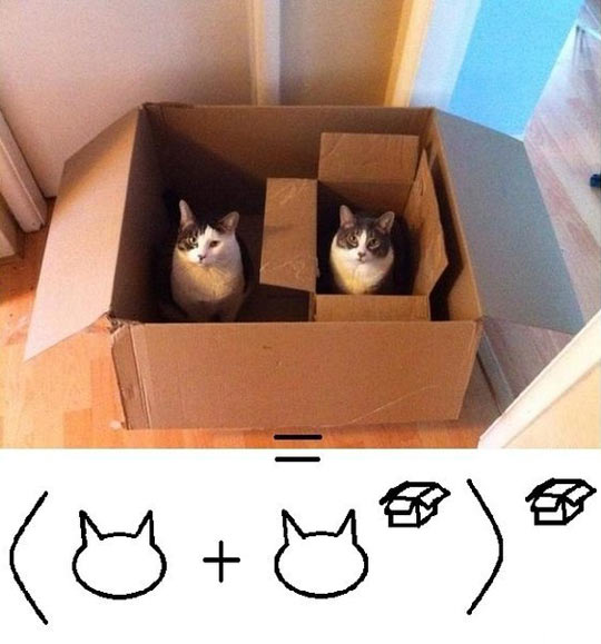 Mathematical Formula Of Cats And Boxes