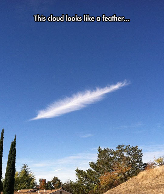 A Solitary Cirrus Cloud