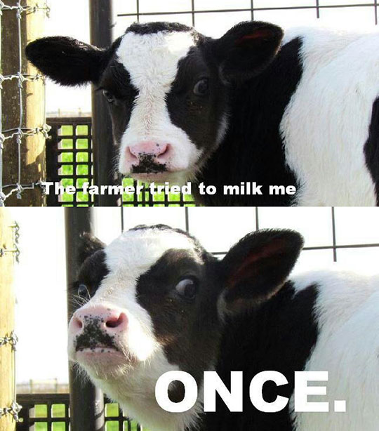 The Farmer Tried To Milk Me