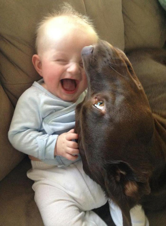 Cute Little Boy And His Best Friend