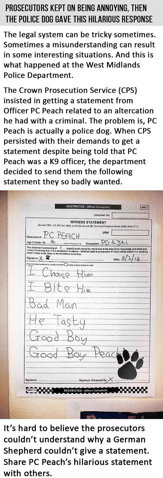 Police Dog Genius Response