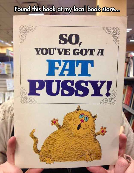 funny-fat-cat-book-card