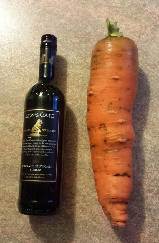 Now That Is A Carrot