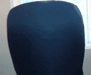 funny-gif-dog-rotating-chair-pug