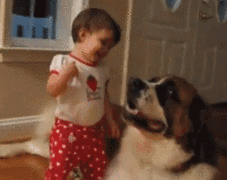 Girl Learning She Can Hug A Dog