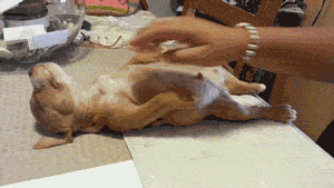 funny-gif-pitbull-puppy-sleeping