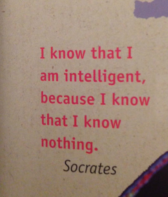 I Know That I Am Intelligent Because