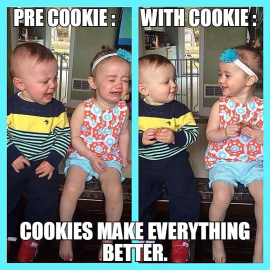 Cookies Can Fix Everything