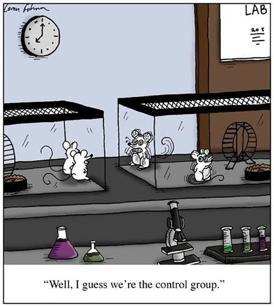 Talking Lab Rats