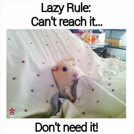Lazy Rule No. 1
