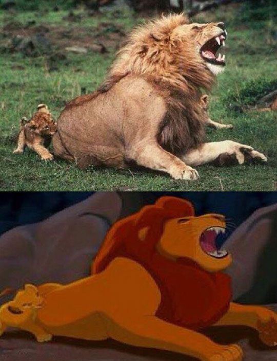 funny-lion-cub-biting-father