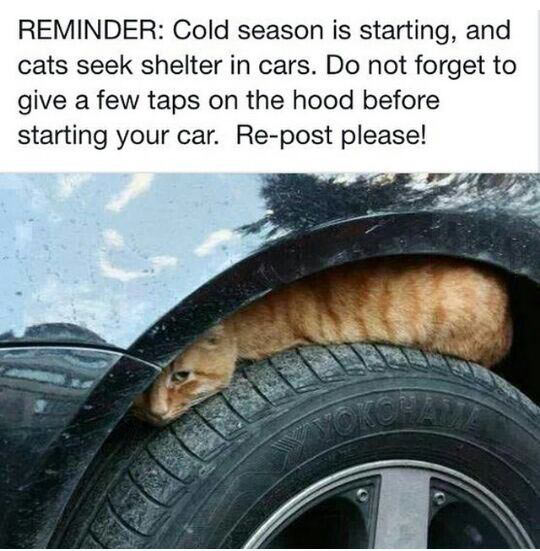A Simple Reminder For Cold Days
