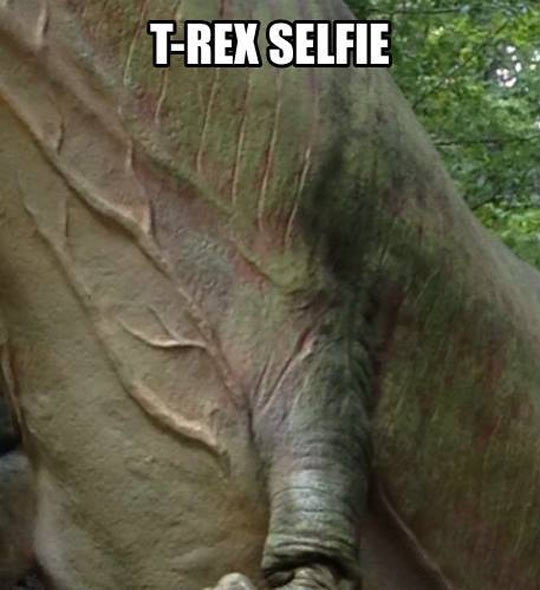 funny-selfie-dinosaur-T-Rex