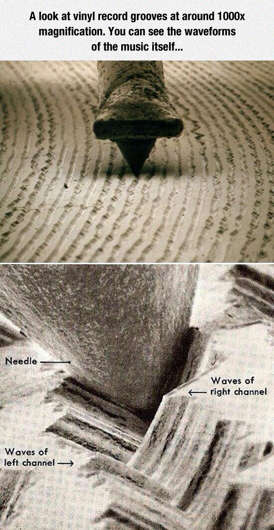 The Waveform Of The Music