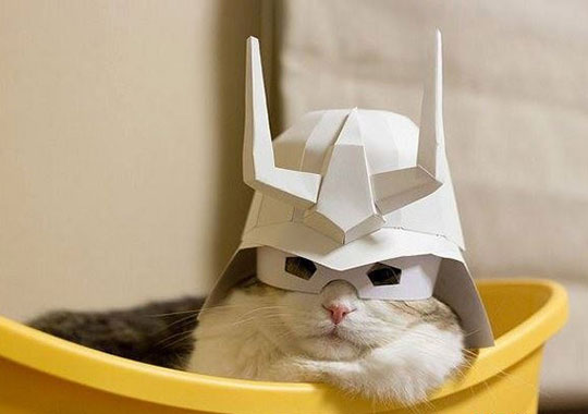 cool-cat-paper-hat-samurai