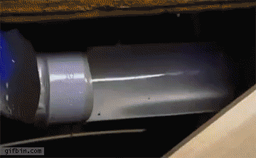 cool-gif-rat-climbing-toilet