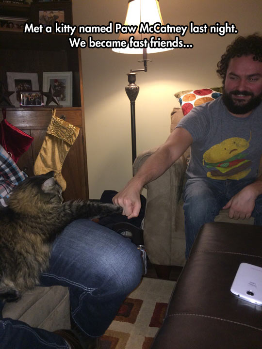 Bro Fist With The New Cat