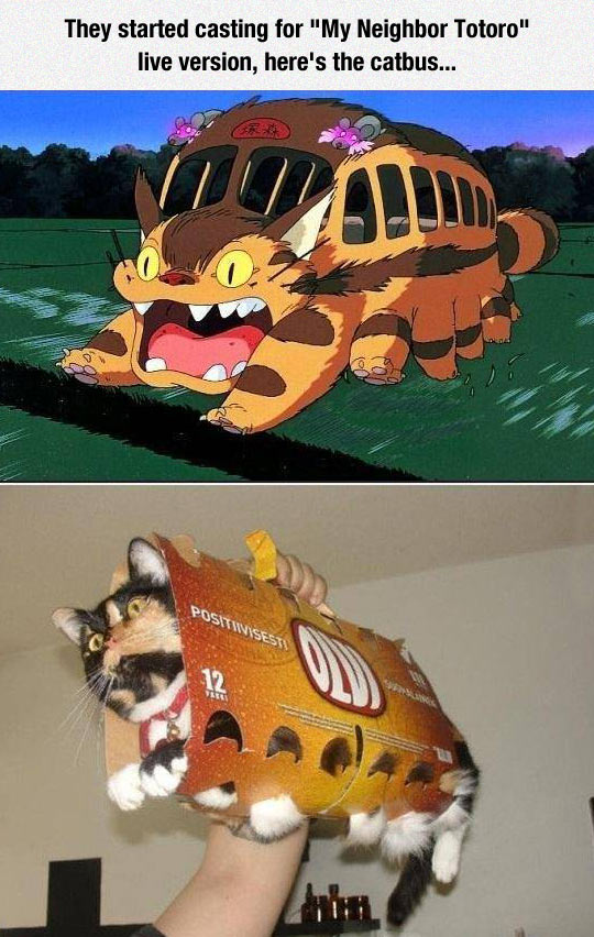 Cat Bus Cosplay