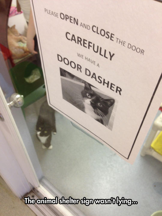 Careful With The Door Dasher