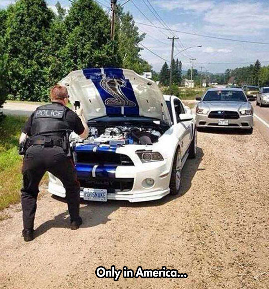 To Be Honest, If I Was A Cop I Would Do The Same Thing