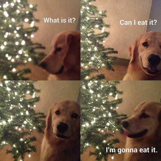 funny-dog-eat-Christmas-tree