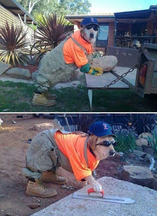 The Best Contractor I