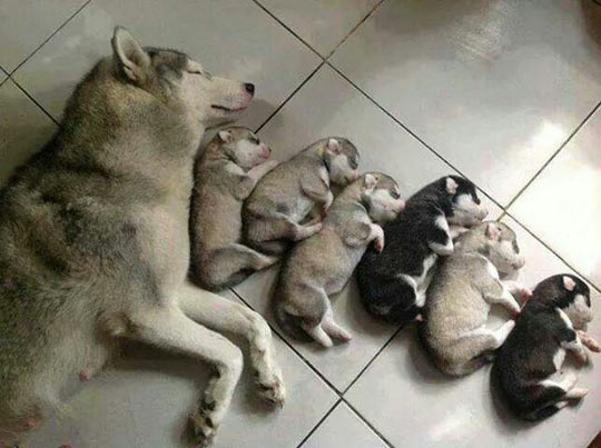 Sleeping With The New Family