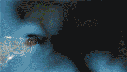 funny-gif-fish-spiting-eating-bug