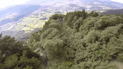 Treetop Wingsuit Fly-By