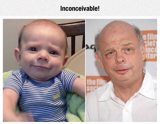 This baby Totally Looks Like Wallace Shawn