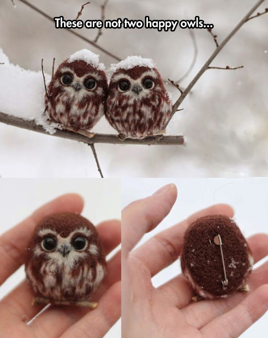 Two Owl Pins