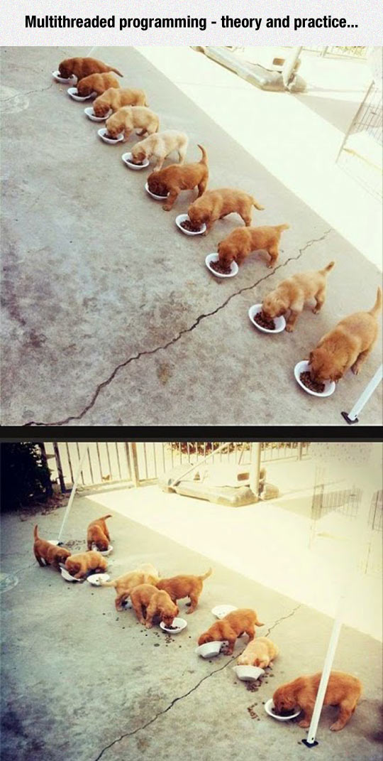 funny-puppies-feeding-multithreaded-mess