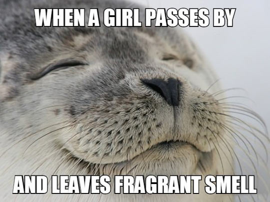 Girls Always Smell So Nice