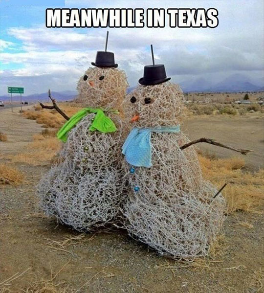 Things Are A Little Bit Different In Texas